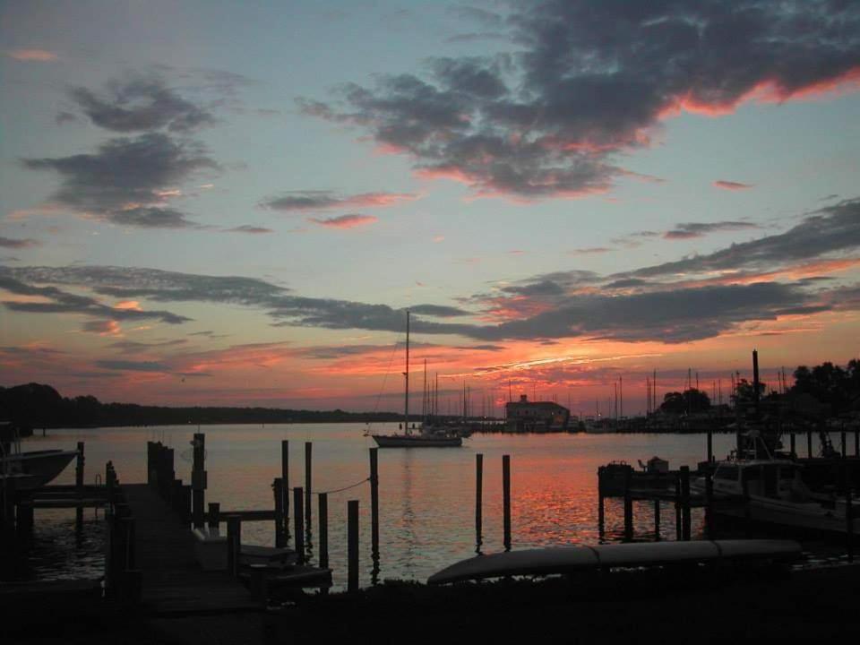 Blue Heron Inn - A Bed And Breakfast Llc ソロモンズ エクステリア 写真